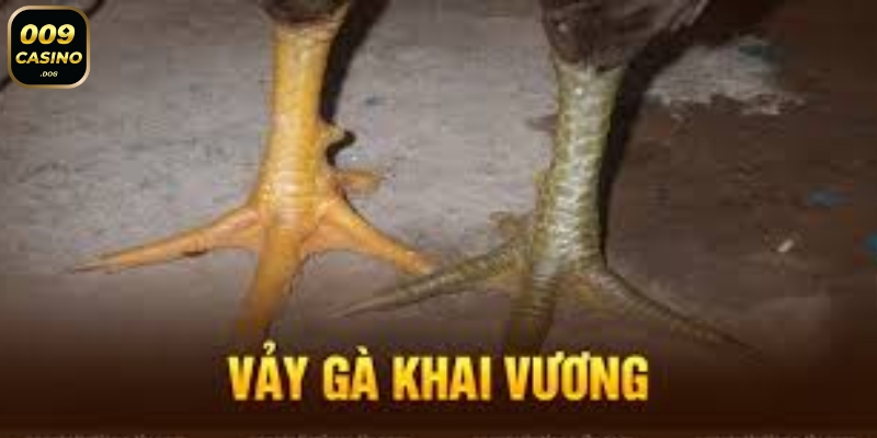 nhan biet vay ga khai vuong